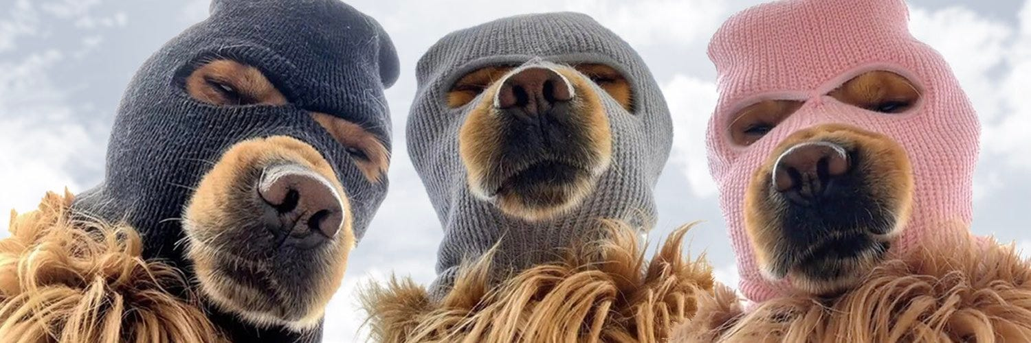 Three Ski Mask Dogs β the official mascots of $SKI